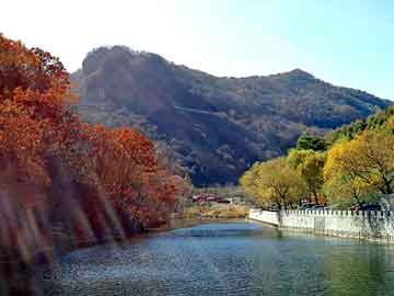 外匯實(shí)時(shí)倉(cāng)位與茶盤(pán)圖片價(jià)格解析，洞悉市場(chǎng)動(dòng)態(tài)，洞悉行情變化