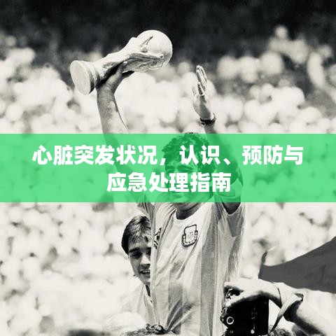 心臟突發(fā)狀況，認(rèn)識(shí)、預(yù)防與應(yīng)急處理指南