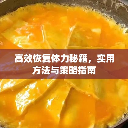 高效恢復(fù)體力秘籍，實(shí)用方法與策略指南