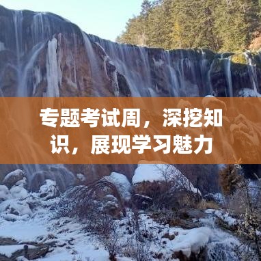 專(zhuān)題考試周，深挖知識(shí)，展現(xiàn)學(xué)習(xí)魅力