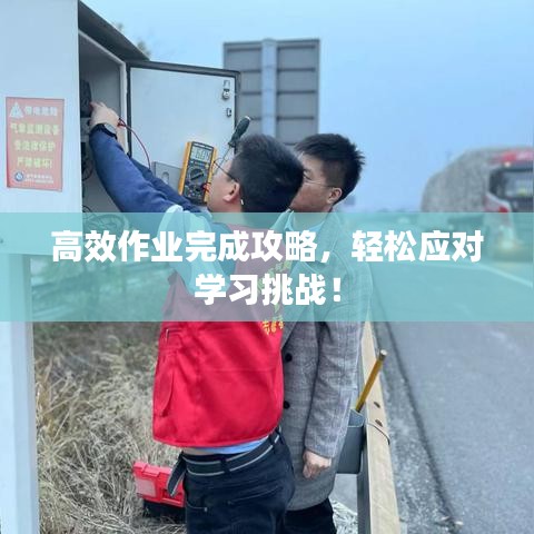 高效作業(yè)完成攻略，輕松應(yīng)對(duì)學(xué)習(xí)挑戰(zhàn)！