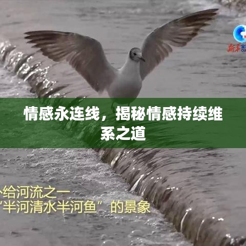 產(chǎn)品中心 第731頁(yè)