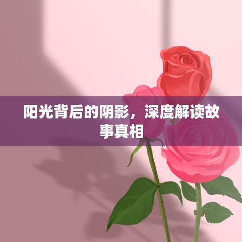 陽光背后的陰影，深度解讀故事真相