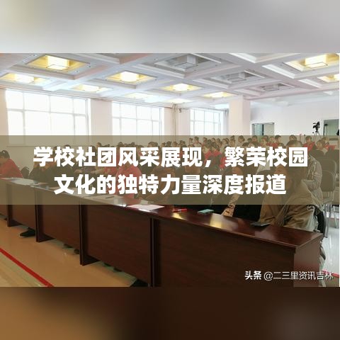 學(xué)校社團風(fēng)采展現(xiàn)，繁榮校園文化的獨特力量深度報道