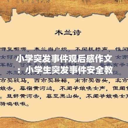 小學突發(fā)事件觀后感作文：小學生突發(fā)事件安全教育手抄報 