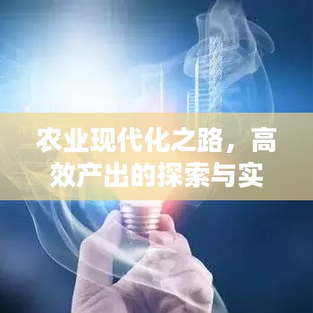 農(nóng)業(yè)現(xiàn)代化之路，高效產(chǎn)出的探索與實(shí)踐