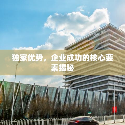 獨家優(yōu)勢，企業(yè)成功的核心要素揭秘