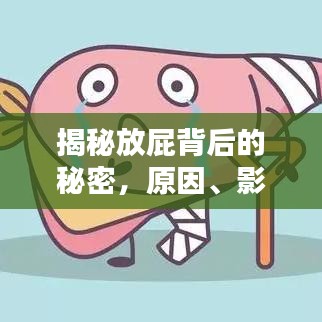 揭秘放屁背后的秘密，原因、影響與應對方法