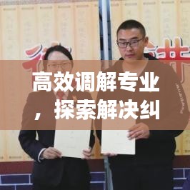 高效調(diào)解專業(yè)，探索解決糾紛的新路徑