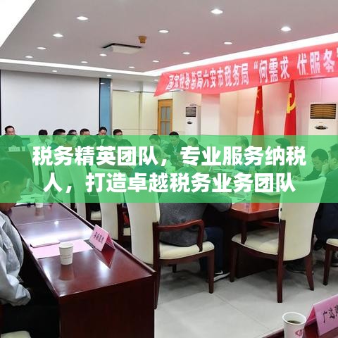 稅務(wù)精英團(tuán)隊(duì)，專業(yè)服務(wù)納稅人，打造卓越稅務(wù)業(yè)務(wù)團(tuán)隊(duì)
