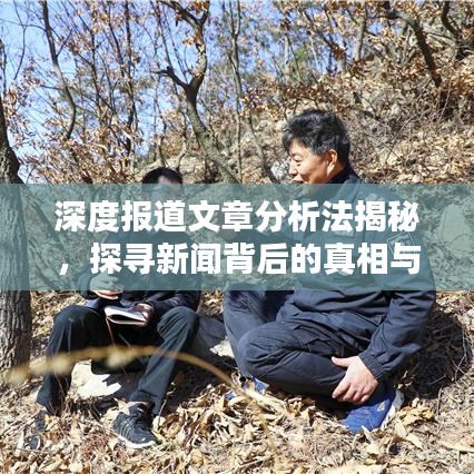 深度報(bào)道文章分析法揭秘，探尋新聞背后的真相與價(jià)值內(nèi)幕