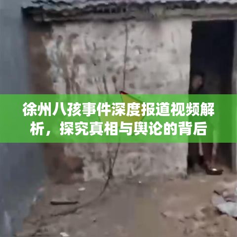 徐州八孩事件深度報道視頻解析，探究真相與輿論的背后