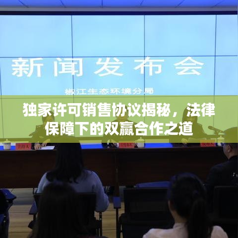 獨家許可銷售協(xié)議揭秘，法律保障下的雙贏合作之道