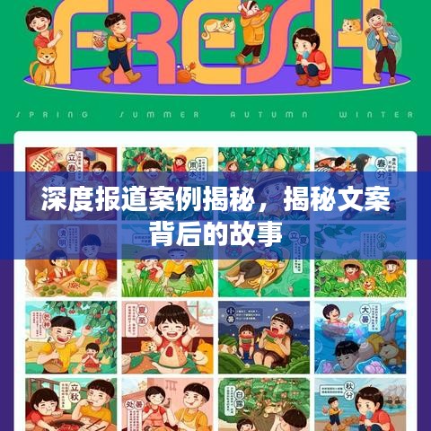 深度報(bào)道案例揭秘，揭秘文案背后的故事