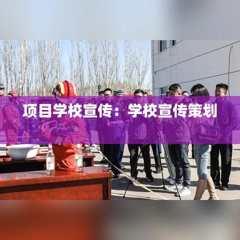 項目學(xué)校宣傳：學(xué)校宣傳策劃 