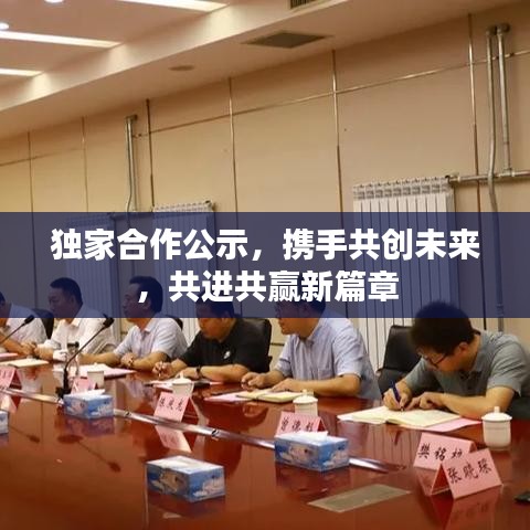 獨(dú)家合作公示，攜手共創(chuàng)未來(lái)，共進(jìn)共贏新篇章