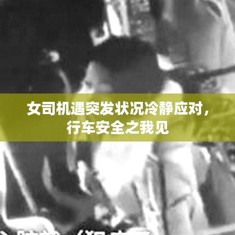 女司機(jī)遇突發(fā)狀況冷靜應(yīng)對(duì)，行車安全之我見(jiàn)