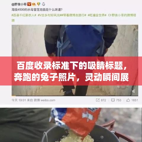 聯(lián)系我們 第119頁(yè)