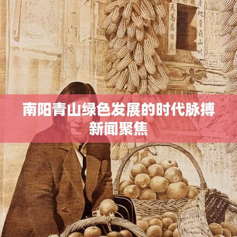 南陽青山綠色發(fā)展的時(shí)代脈搏新聞聚焦