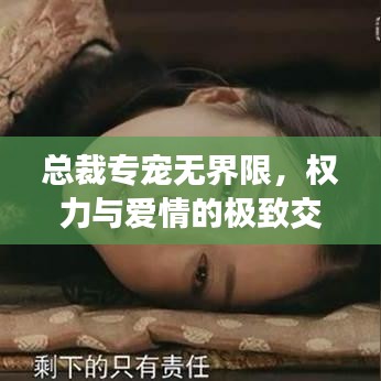總裁專寵無界限，權力與愛情的極致交融