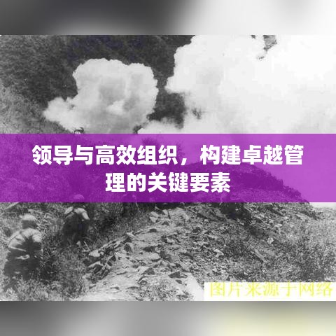 領(lǐng)導(dǎo)與高效組織，構(gòu)建卓越管理的關(guān)鍵要素