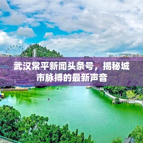 武漢常平新聞頭條號，揭秘城市脈搏的最新聲音
