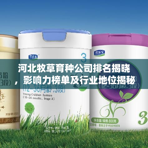 河北牧草育種公司排名揭曉，影響力榜單及行業(yè)地位揭秘