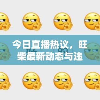 今日直播熱議，旺柴最新動態(tài)與違法犯罪問題探討深度解析