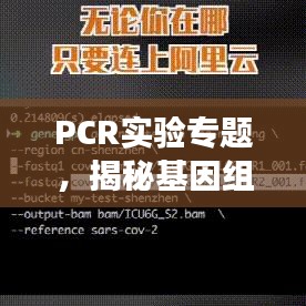 PCR實(shí)驗(yàn)專題，揭秘基因組奧秘探索之旅