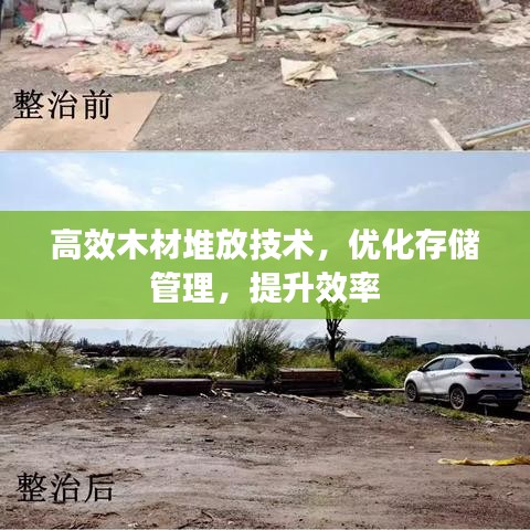 風(fēng)度翩翩 第3頁
