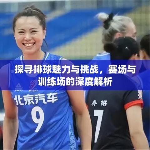 探尋排球魅力與挑戰(zhàn)，賽場與訓(xùn)練場的深度解析