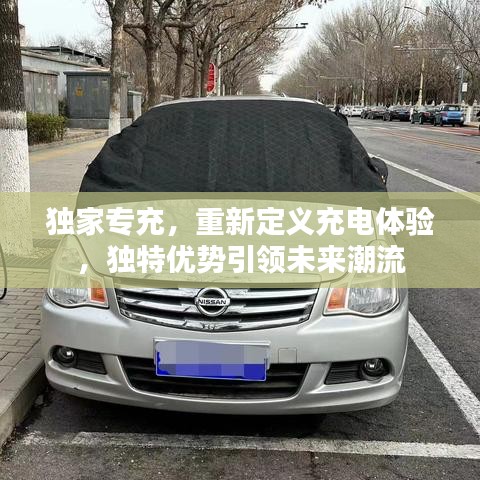獨家專充，重新定義充電體驗，獨特優(yōu)勢引領(lǐng)未來潮流