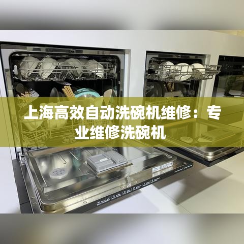 上海高效自動(dòng)洗碗機(jī)維修：專(zhuān)業(yè)維修洗碗機(jī) 