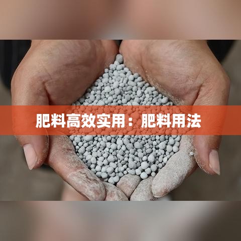 氣囊 第109頁
