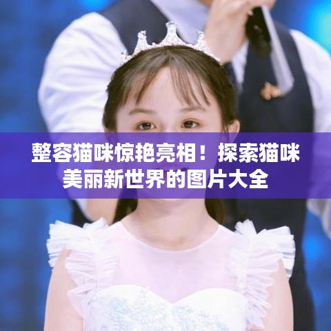 整容貓咪驚艷亮相！探索貓咪美麗新世界的圖片大全