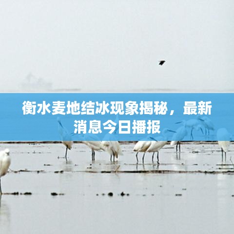 落落大方 第3頁