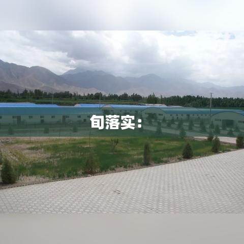氣囊 第106頁