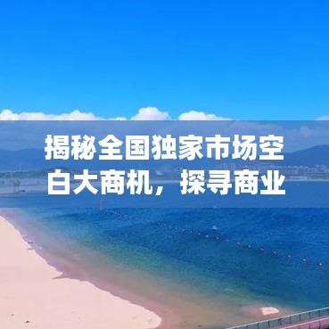 揭秘全國獨家市場空白大商機，探尋商業(yè)新藍海，開啟財富大門！