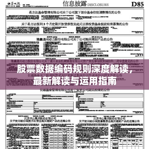 股票數(shù)據(jù)編碼規(guī)則深度解讀，最新解讀與運用指南