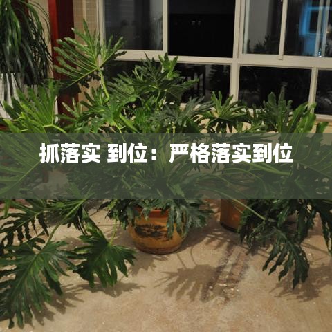 朱唇粉面 第3頁(yè)