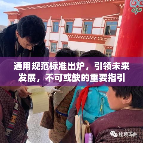 通用規(guī)范標(biāo)準(zhǔn)出爐，引領(lǐng)未來發(fā)展，不可或缺的重要指引