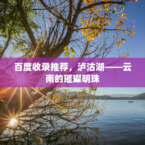 窗明幾凈 第3頁(yè)