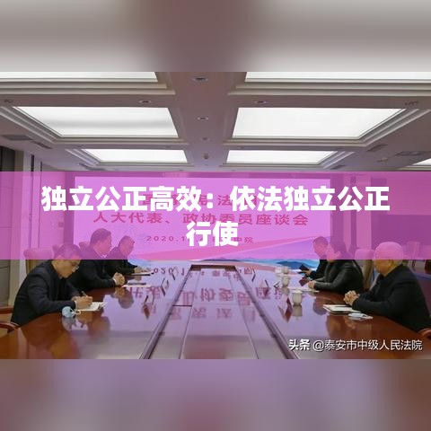 獨立公正高效：依法獨立公正行使 