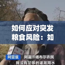 氣囊 第104頁(yè)