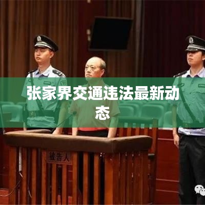 張家界交通違法最新動(dòng)態(tài)