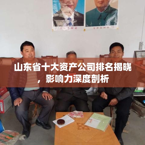 山東省十大資產(chǎn)公司排名揭曉，影響力深度剖析