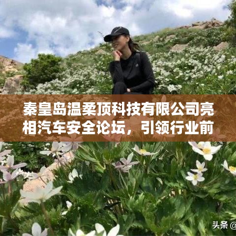 秦皇島溫柔頂科技亮相汽車安全論壇，引領(lǐng)前沿技術(shù)探討風(fēng)潮