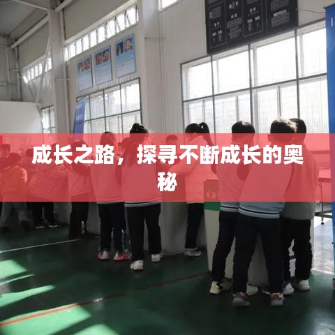 成長之路，探尋不斷成長的奧秘