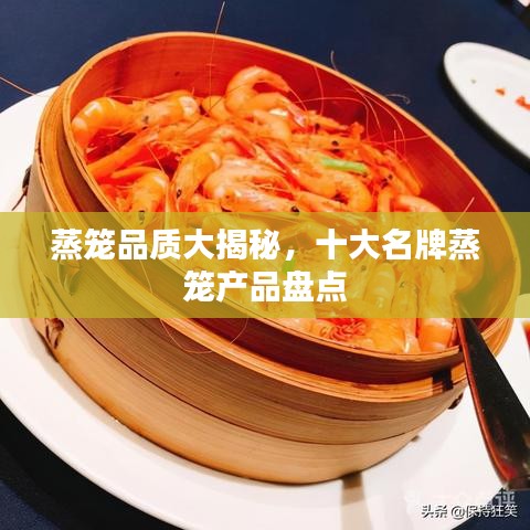 蒸籠品質(zhì)大揭秘，十大名牌蒸籠產(chǎn)品盤(pán)點(diǎn)