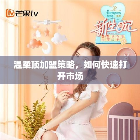 溫柔頂加盟攻略，快速打開(kāi)市場(chǎng)之門(mén)